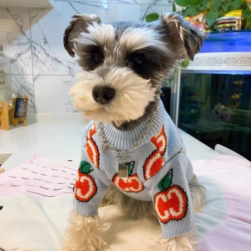 レターセーター ペット犬服 コットン スウェットシャツ 犬服 - Winter Clothing For Boys のレビューと価格