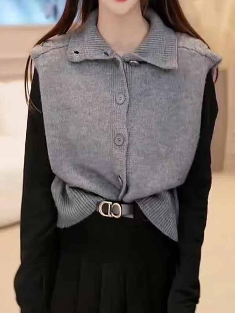 女性用セーター ルーズカーディガン レディースニットベスト  - Winter Clothing Trends 2025 Women'S のレビューと価格
