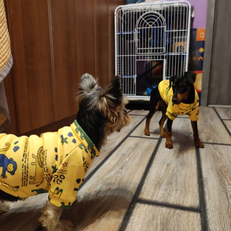 Xs 犬服小型犬用女の子子犬服小型犬用男の子猫ジャケットパー - Winter Clothing For Boys のレビューと価格